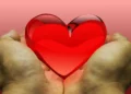 Due mani aperte reggono un cuore rosso lucido su sfondo rosa, simbolo della donazione degli organi