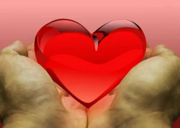 Due mani aperte reggono un cuore rosso lucido su sfondo rosa, simbolo della donazione degli organi