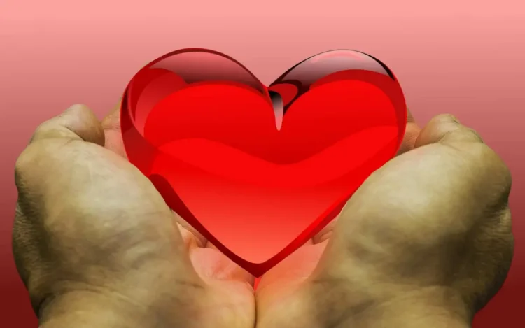 Due mani aperte reggono un cuore rosso lucido su sfondo rosa, simbolo della donazione degli organi