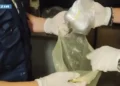 Agenti con guanti bianchi estraggono da una busta un involucro di sostanza bianca, sequestro di cocaina a Gela