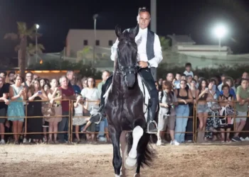 Cavaliere in gilet su un cavallo nero con balzana bianca durante uno spettacolo equestre serale, pubblico dietro le transenne