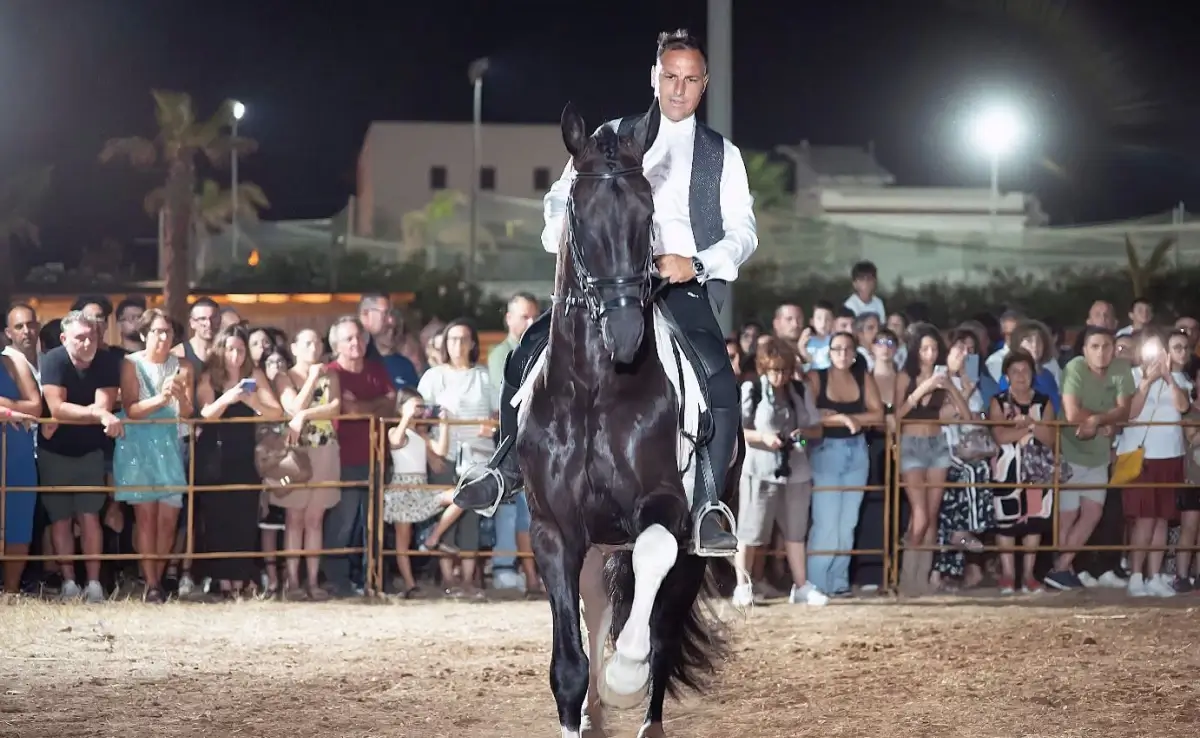 Cavaliere in gilet su un cavallo nero con balzana bianca durante uno spettacolo equestre serale, pubblico dietro le transenne