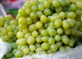 Grappoli di uva da tavola bianca con acini verdi