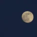 Luna piena quasi al completo nel cielo blu della sera, con i mari lunari scuri ben visibili sul disco