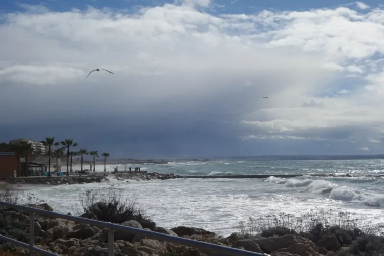 Mare in burrasca e cielo carico di nubi da temporali durante il maltempo su un lungomare con palme