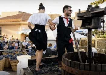 Pigiatura dell'uva a piedi nudi durante la Sagra della Vendemmia di Pedalino, con pubblico in festa sullo sfondo