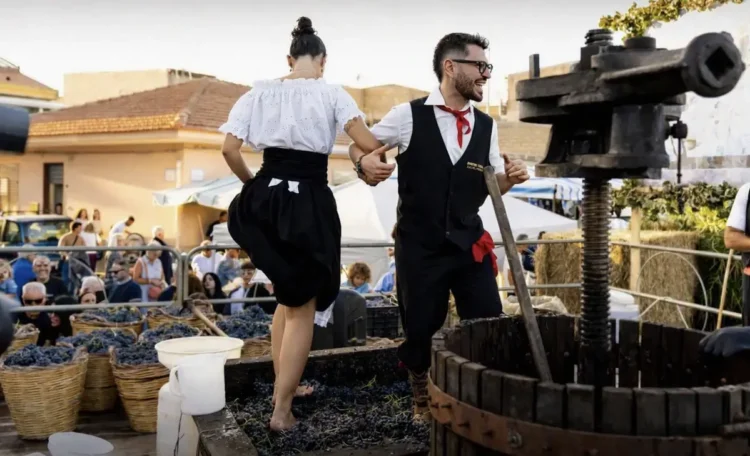 Pigiatura dell'uva a piedi nudi durante la Sagra della Vendemmia di Pedalino, con pubblico in festa sullo sfondo