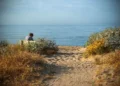 Sentiero sabbioso tra le dune fiorite conduce alla spiaggia, con una persona seduta su una panchina davanti al mare