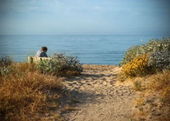 Sentiero sabbioso tra le dune fiorite conduce alla spiaggia, con una persona seduta su una panchina davanti al mare