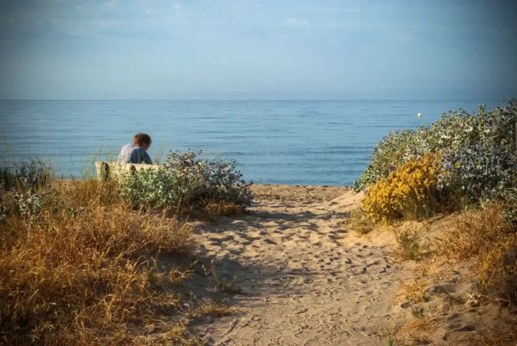 Sentiero sabbioso tra le dune fiorite conduce alla spiaggia, con una persona seduta su una panchina davanti al mare