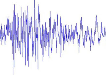 Sismogramma di un terremoto: linea blu su fondo bianco con oscillazioni ampie al centro e più ridotte ai lati