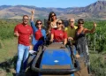 Famiglia Brunetti tra i filari durante la prima vendemmia sull’Etna