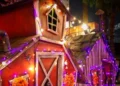 Casette di legno rosse illuminate di sera da luci viola e bianche, con un ragno finto e fiori arancioni per Halloween
