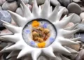 Piatto gourmet con spuma e fiori eduli in una ciotola bianca a raggiera su ciottoli, simbolo di SCIARM 2026 a Calatabiano