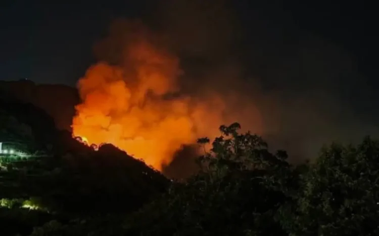 Incendio notturno: alte fiamme arancioni e una colonna di fumo su un pendio collinare, alberi in controluce in primo piano