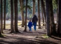 Un adulto e un bambino con giubbotto blu, ripresi di spalle, camminano su un sentiero tra alti tronchi di conifere