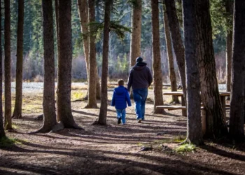 Un adulto e un bambino con giubbotto blu, ripresi di spalle, camminano su un sentiero tra alti tronchi di conifere