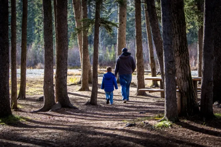 Un adulto e un bambino con giubbotto blu, ripresi di spalle, camminano su un sentiero tra alti tronchi di conifere
