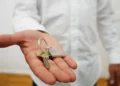 Uomo in camicia bianca porge sul palmo aperto due chiavi con un portachiavi a forma di casa, simbolo di un affitto