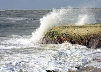 Onde di maltempo si infrangono su un costone erboso, con schiuma bianca sulla riva e mare agitato sotto un cielo grigio