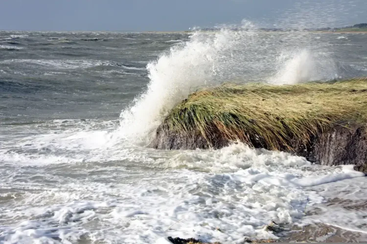 Onde di maltempo si infrangono su un costone erboso, con schiuma bianca sulla riva e mare agitato sotto un cielo grigio