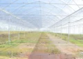 Serra vuota con copertura in plastica trasparente e pali metallici, prima della semina, in un'area agricola come quelle della Sicilia