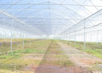 Serra vuota con copertura in plastica trasparente e pali metallici, prima della semina, in un'area agricola come quelle della Sicilia