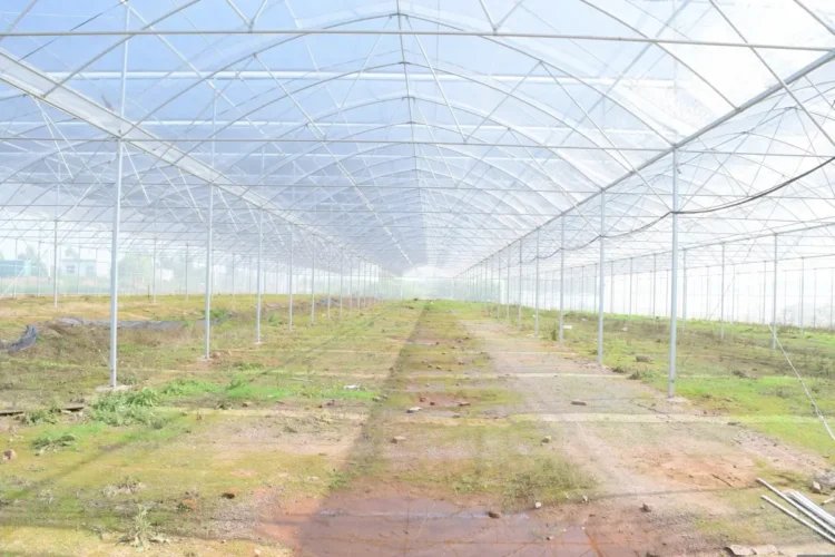 Serra vuota con copertura in plastica trasparente e pali metallici, prima della semina, in un'area agricola come quelle della Sicilia