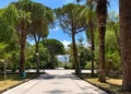 Viale lastricato della villa comunale tra pini, palme e lampioni sotto un cielo sereno. Immagine generata con intelligenza artificiale