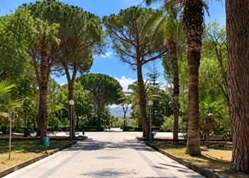 Viale lastricato della villa comunale tra pini, palme e lampioni sotto un cielo sereno. Immagine generata con intelligenza artificiale