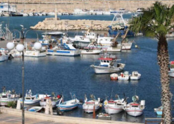 Pescherecci e piccole barche ormeggiati nel porto di Scoglitti, con il molo di massi sullo sfondo e palme in primo piano