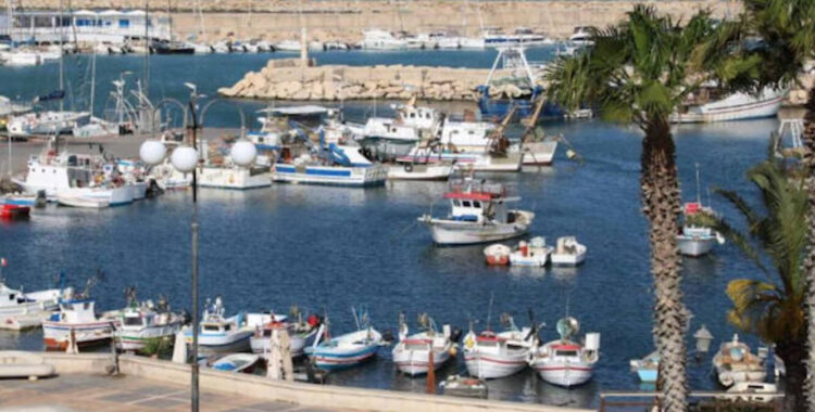 Pescherecci e piccole barche ormeggiati nel porto di Scoglitti, con il molo di massi sullo sfondo e palme in primo piano
