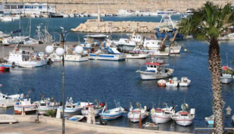 Barche da pesca ormeggiate nel porto di Scoglitti, con la diga foranea in massi e una palma in primo piano