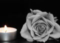 Un lumino acceso accanto a una rosa bianca su fondo nero