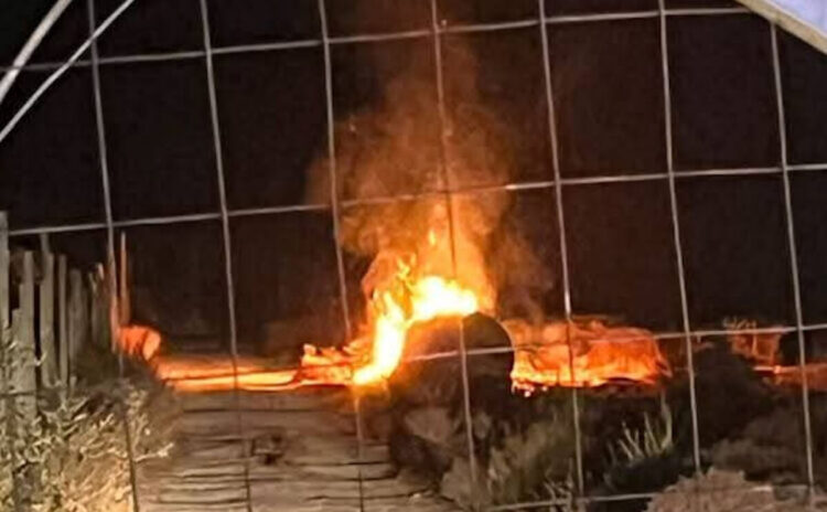 Rifiuti agricoli in fiamme di notte vicino a una serra, con fumo denso dietro una rete metallica a maglie larghe