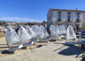 Barche Optimist a terra sul lungomare di Donnalucata durante la Settimana della vela, con le vele alzate davanti a un palazzo