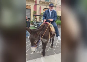 Il sindaco di Palazzolo Acreide in sella a un’asina scura con la sella imbottita, in una piazza lastricata del centro