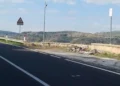 Telecamera su palo in una piazzola della Ss 194 a Ragusa, con rifiuti abbandonati vicino al muretto e colline sullo sfondo