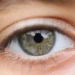Primo piano di un occhio verde per le visite oculistiche gratuite a Ragusa. Immagine generata con intelligenza artificiale