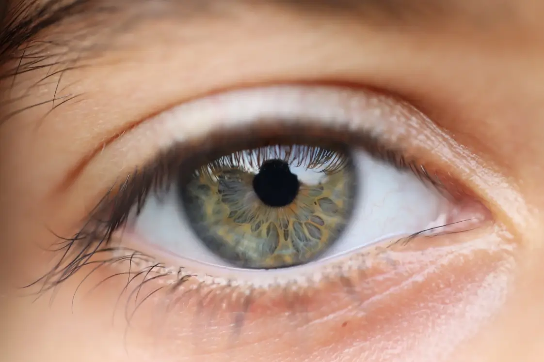 Primo piano di un occhio verde per le visite oculistiche gratuite a Ragusa. Immagine generata con intelligenza artificiale